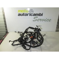 CABLAGGIO KAWASAKI ER-6 650 53KW B (2007) 260310400 COMPLETO