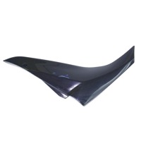 CARENA SINISTRA INFERIORE SELLA KAWASAKI NINJA 1000 ZX-10R 2008 - 2009 36001012617K LOWER SADDLE LEFT FAIRING 