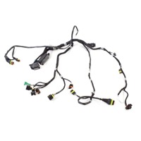 APRILIA SHIVER 900 2D000360 CABLAGGIO IMPIANTO ELETTRICO MOTORE 17 - 20 ENGINE WIRING HARNESS