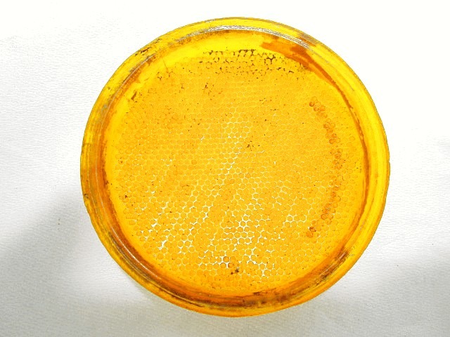 PLASTICA VETRO FRECCA PER MOTO CICLOMOTORE D'EPOCA 5010 RAS 350 TURN LIGHT GLASS GRAFFIATO